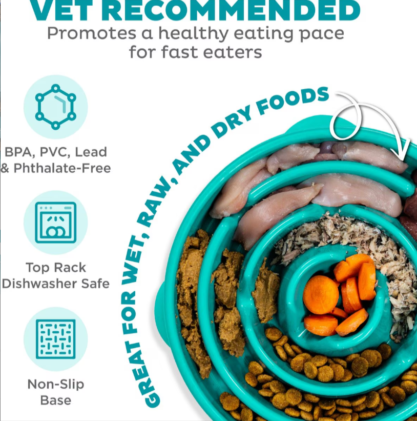 Teal pet food bowl with various types of pet food and text highlighting features.