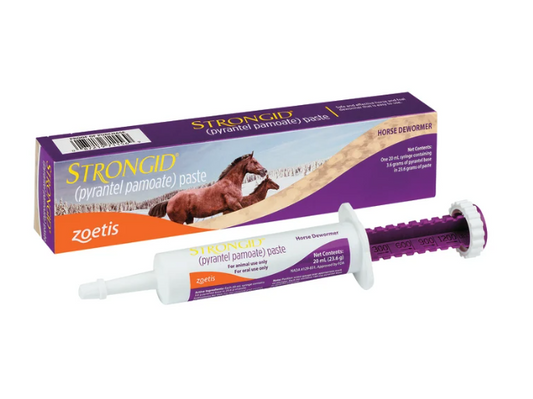 Strongid horse dewormer paste with packaging on a white background