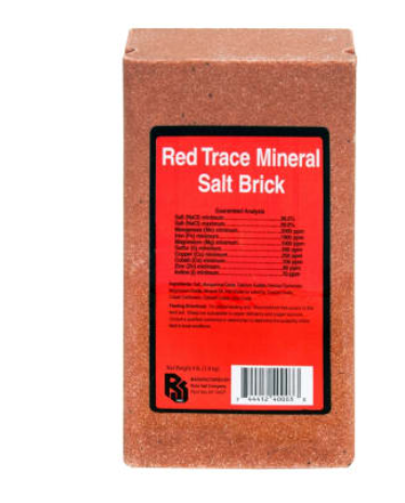 Red Trace Mineral Salt Brick on a white background