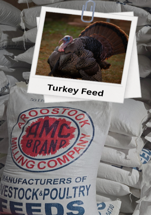 Bag of AMC Brand poultry feed with a turkey photo on top