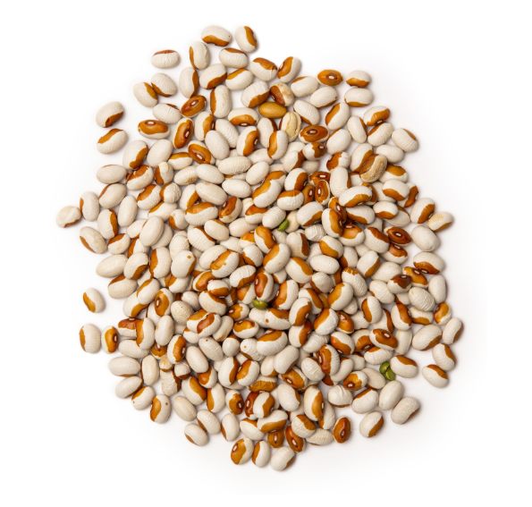Pile of white and brown beans on a white background